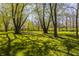 Lush green backyard with mature trees offering shade and privacy at 553 Bolderwood Ln, Carmel, IN 46032
