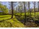 A serene creek flowing through the backyard, adding natural beauty to the property at 553 Bolderwood Ln, Carmel, IN 46032