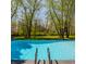 Stunning swimming pool featuring an amazing view with lush trees and landscaping at 553 Bolderwood Ln, Carmel, IN 46032