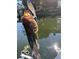 Large mouth bass caught in neighborhood waterway, enjoy fishing in your backyard at 8069 Middle Bay Ln, Indianapolis, IN 46236