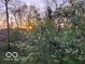 Scenic sunset view through blossoming trees, showcasing a peaceful and natural setting at 8069 Middle Bay Ln, Indianapolis, IN 46236