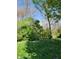Lush backyard featuring vibrant green grass and dense foliage, providing a private outdoor space at 5912 Accent Dr, Indianapolis, IN 46221