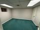 Basement with green carpet and a blank canvas, perfect for customization and storage needs at 616 Elbow Bend Blvd, Greenwood, IN 46142
