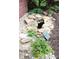 Lush garden pond with decorative rocks and a variety of flowering plants at 2120 Dakota Dr, Franklin, IN 46131
