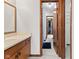 Bathroom featuring a single sink, wooden cabinets, and a view to an adjacent closet at 4322 Matrea More Ct, Indianapolis, IN 46254