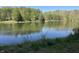Scenic view of a serene pond surrounded by lush greenery, perfect for relaxation at 10770 W 650 S, Columbus, IN 47201