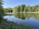 Scenic view of a tranquil pond surrounded by lush greenery and mature trees at 10770 W 650 S, Columbus, IN 47201