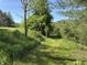 Landscaped yard with walking path featuring lush green scenery at 10770 W 650 S, Columbus, IN 47201