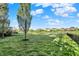 Tranquil backyard featuring a lush lawn, mature trees, and picturesque lake views at 11341 Abercairn Ct, Zionsville, IN 46077