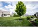 Backyard with manicured lawn and green tree, set against the backdrop of a blue sky and neighboring homes at 16204 Oakford Trl, Fishers, IN 46037