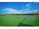 Green tennis courts at 16204 Oakford Trl, Fishers, IN 46037