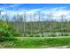 Serene backyard view showcasing lush greenery, a scenic pond, and natural beauty for a peaceful retreat at 10294 Pigato Dr, Zionsville, IN 46077
