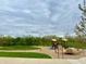 Community playground with swings and slides perfect for outdoor fun with picnic areas surrounded by lush greenery at 10294 Pigato Dr, Zionsville, IN 46077