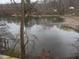 Scenic view of the lake from the property, featuring trees and calm water at 121 Lake Hart, Mooresville, IN 46158