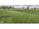 Large grassy backyard enclosed by a black metal fence, providing privacy and security at 3697 Chalmers Dr, Bargersville, IN 46106
