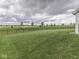 Well-maintained backyard with a black metal fence surrounding the green lawn at 3697 Chalmers Dr, Bargersville, IN 46106