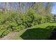 Grassy backyard featuring a lush green hedge, offering privacy and tranquility at 5982 Blue Heron Way, Plainfield, IN 46168