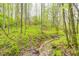 Backyard view showing creek flowing through wooded area on property at 8329 S Christian Dr, Nineveh, IN 46164