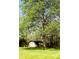 Rustic outbuilding nestled beneath a large, shady tree in a verdant setting at 9067 Old Haggard Rd, Morgantown, IN 46160