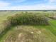 An aerial perspective of a large plot of land with trees, vegetation, and a horizon of blue skies at 1285 S 1100 E, Zionsville, IN 46077