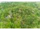 Overhead perspective showcases a house surrounded by a thick forest with various green tones at 1630 Hinson Rd, Martinsville, IN 46151