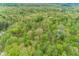 Overhead view of property surrounded by lush forest with two residences and long driveway at 1630 Hinson Rd, Martinsville, IN 46151