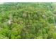 Panoramic aerial view showcases lush forest surrounding a house and a pathway near a road at 1630 Hinson Rd, Martinsville, IN 46151