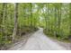 Gravel driveway winding through the green trees at 1630 Hinson Rd, Martinsville, IN 46151