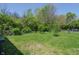 Serene backyard featuring a grassy lawn with scattered young trees and a chain-link fence border at 2658 S Rybolt Ave, Indianapolis, IN 46241