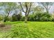 Large grassy backyard with mature trees providing plenty of shade at 5141 Annette St, Indianapolis, IN 46208
