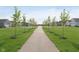 Scenic community view showcasing a tree-lined walking path and well-maintained lawns at 796 Sapp Cir, Westfield, IN 46074