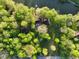 Stunning aerial shot showcases a secluded home with lush greenery and a tranquil lake nearby at 12142 N Paddock Rd, Camby, IN 46113
