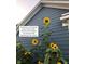 Beautiful home with blue siding and vibrant sunflowers in the garden at 13766 Heatherfield Dr, Fishers, IN 46038