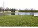 Scenic backyard view featuring a pond, bordered by a black fence and lush green grass with yellow wildflowers at 3019 Knobstone Ln, Indianapolis, IN 46203