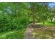 Walking path winds through the property's lush and well-maintained yard at 65 Palomino Ct, Zionsville, IN 46077