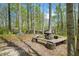 Inviting outdoor firepit area with a unique seating arrangement, surrounded by lush trees at 8277 N Lasalle Rd, Morgantown, IN 46160