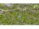 Aerial view of secluded property featuring mature trees and a community basketball court at 13 Ridgeline Dr, Brownsburg, IN 46112