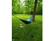 Tranquil backyard view of a hammock hung between mature trees on a beautiful grassy lot at 13 Ridgeline Dr, Brownsburg, IN 46112