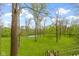 View of the expansive backyard showing lush green lawn, mature trees, and a basketball court at 13 Ridgeline Dr, Brownsburg, IN 46112