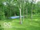 Picture of a lush yard and community basketball court, framed by beautiful mature trees at 13 Ridgeline Dr, Brownsburg, IN 46112