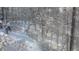 Winter view of a snowy backyard and trees at 13 Ridgeline Dr, Brownsburg, IN 46112