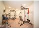 Basement gym featuring high end workout equipment and soft carpet for a comfortable workout space at 9949 Stable Stone Ter, Fishers, IN 46040