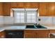 Close-up on the kitchen counter with a sink, dishwasher, and wood cabinets at 1508 Monument St, Noblesville, IN 46060