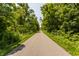 Tree lined road in a canopy of lush green trees at 269 Manchester Ct, Noblesville, IN 46060
