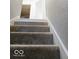 Carpeted staircase with a white trim, providing safe and easy access to upper levels of the residence at 5411 Cliff Ridge Dr, Indianapolis, IN 46217