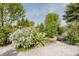 Backyard features include white flowering shrubs, gravel, and a wheelbarrow at 807 Whitmore St, Anderson, IN 46012