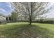 Large backyard with mature tree and wood fence at 110 Meadow Creek Blvd, Whiteland, IN 46184