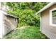 Exterior view of backyard with well-maintained lawn, siding, and greenery at 4406 Carrollton Ave, Indianapolis, IN 46205