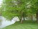 Scenic lake view surrounded by lush trees and greenery at 4806 Krestridge E Ct, Bargersville, IN 46106