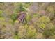 A beautiful aerial view of a home nestled among lush trees providing privacy at 5001 Woodrose Ln, Anderson, IN 46011